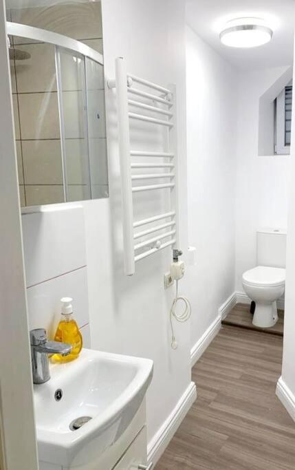 Central Studio Flat Bukarest Exteriör bild